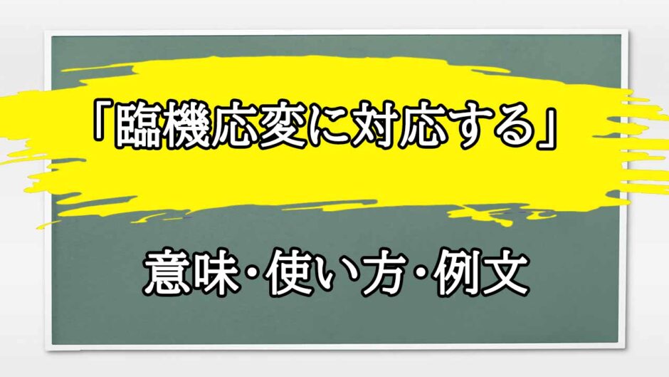 「臨機応変に対応する」の例文と意味・使い方をビジネスマンが解説
