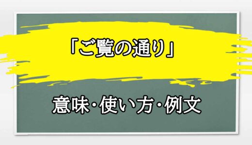 「ご覧の通り」の例文と意味・使い方をビジネスマンが解説