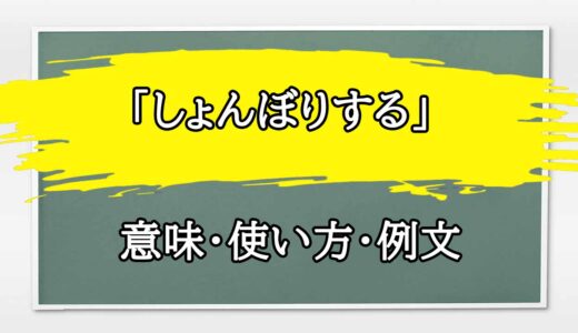 「しょんぼりする」の例文と意味・使い方をビジネスマンが解説