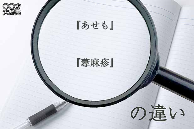 『あせも』と『蕁麻疹』の意味と違いとは？分かりやすく講義