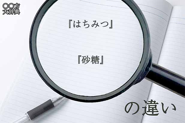 『はちみつ』と『砂糖』の意味と違いとは？分かりやすく講義