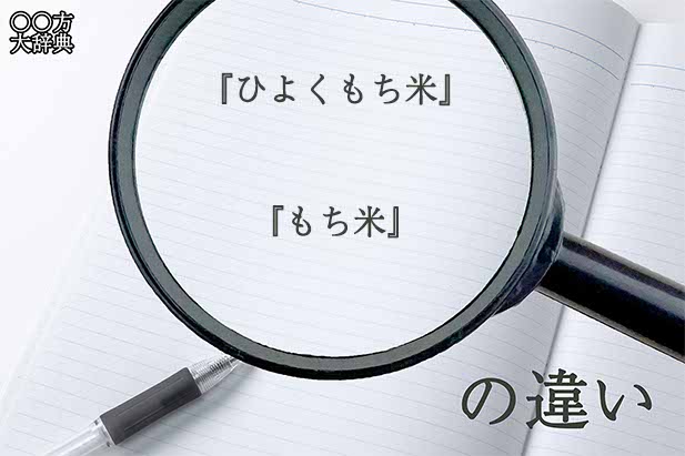 『ひよくもち米』と『もち米』の意味と違いとは？分かりやすく講義