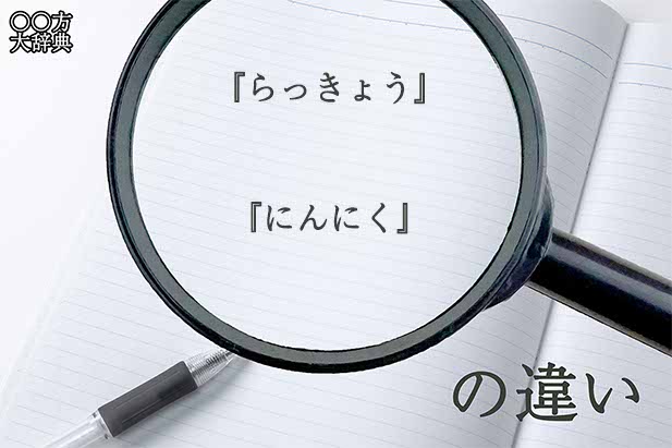 『らっきょう』と『にんにく』の意味と違いとは？分かりやすく講義
