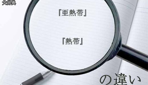 『亜熱帯』と『熱帯』の意味と違いとは？分かりやすく講義