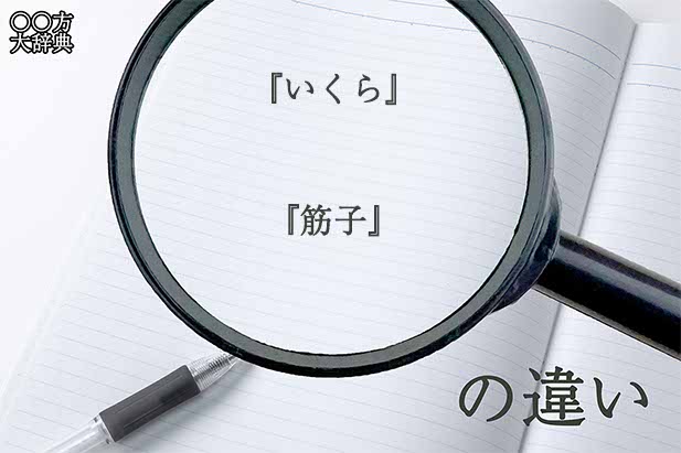 『いくら』と『筋子』の意味と違いとは？分かりやすく講義