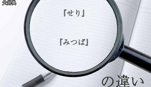 『せり』と『みつば』の意味と違いとは？分かりやすく講義